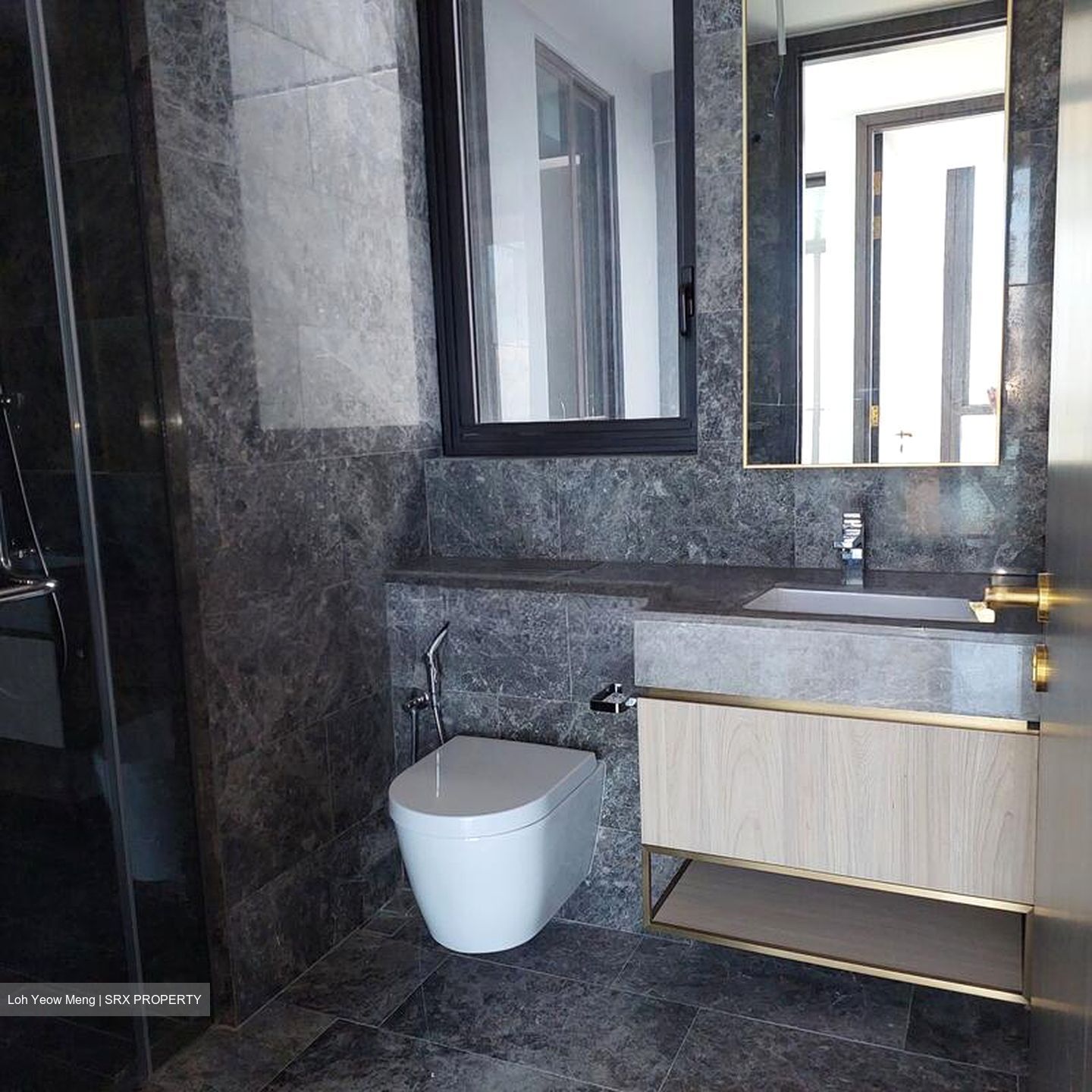 Meyer Mansion (D15), Apartment #497118311